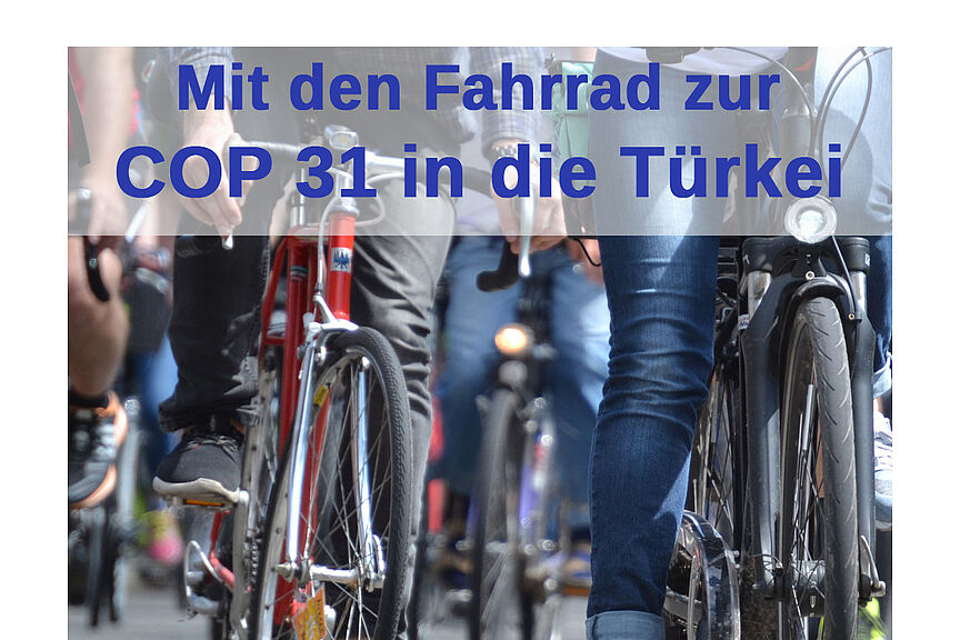 COP 31 cop31