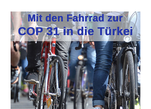 cop31