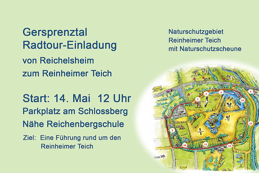 Reinheimer_Teich Reinheimer Teich
