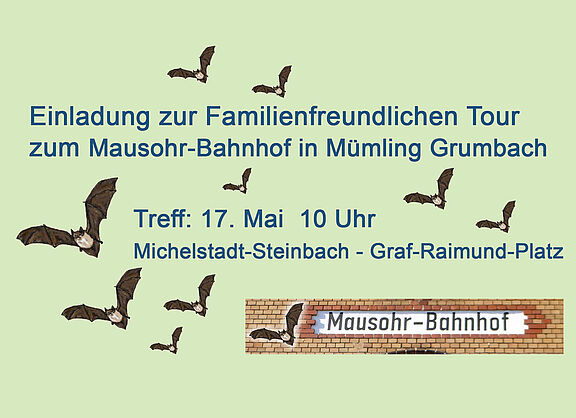 Fledermäuse im Mausohrbahnhof
