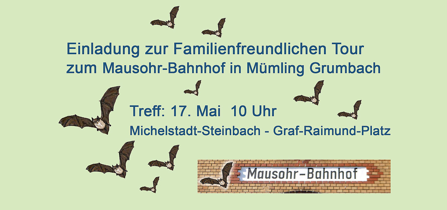 Fledermäuse im Mausohrbahnhof